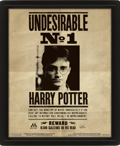 image Harry Potter- Poster 3d lenticulaire Encadré- Harry Potter-