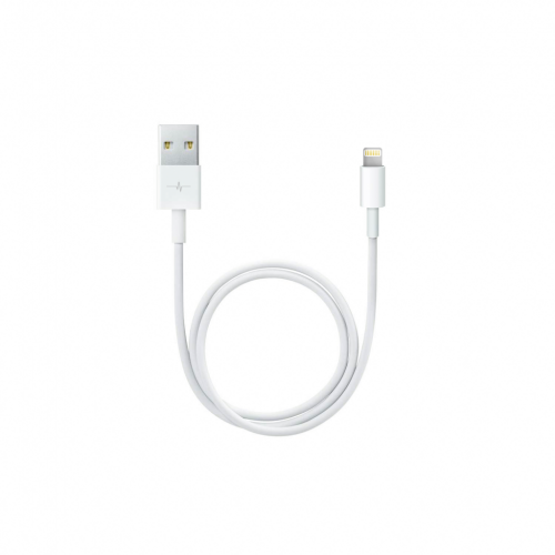 image principale pour Câble pour iPhone 1M - 2A - Blanc - Sans Emballage (VRAC) 