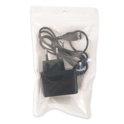 Chargeur Secteur Pour DS Fat / GBA SP
